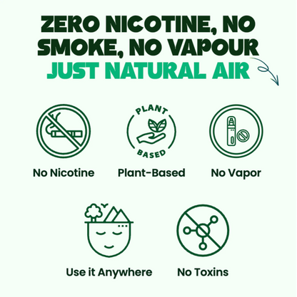 Natural Fruit Scent Inhaler - WALNUT